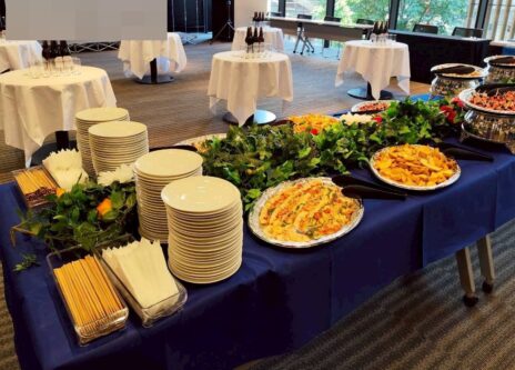 ダミー